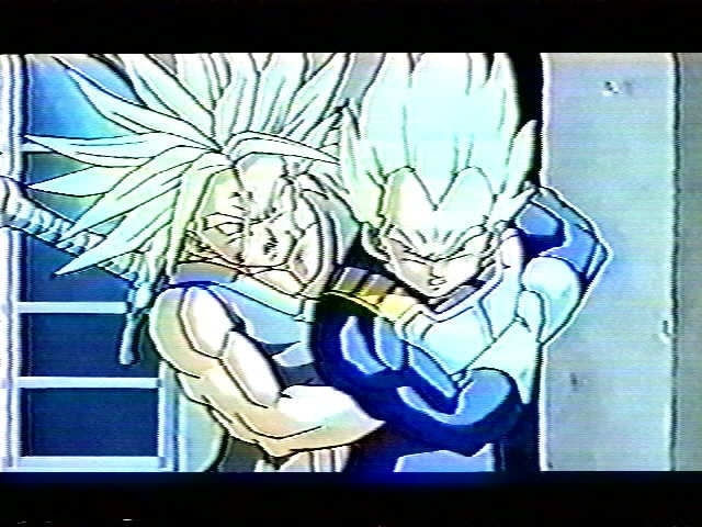 Dragonball Z Movie 9 (38).jpg